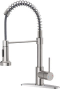 Pull Down Kitchen Faucet with Cup Washer Brushed Nickel